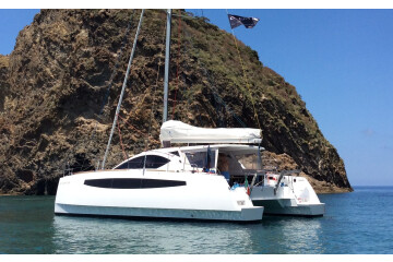 C-Cat 37 PRESTIGE